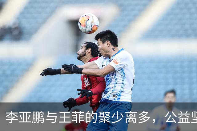 李亚鹏与王菲的聚少离多，公益坚持下的暖心故事